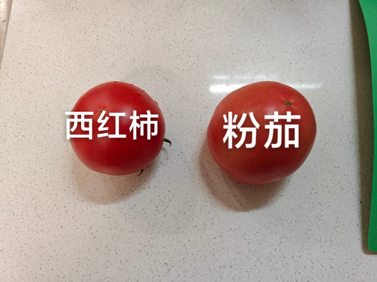 西红柿品种